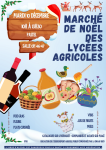 Vignette Image 2 : Affiche marche de noël draaf Limoges