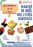 Vignette Image 1 : Affiche marche de noël draaf Bordeaux