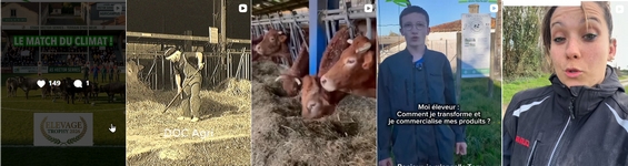 Galerie Instagram Agriculture