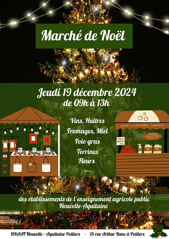 Image 3 : Affiche marche de noël draaf Poitiers