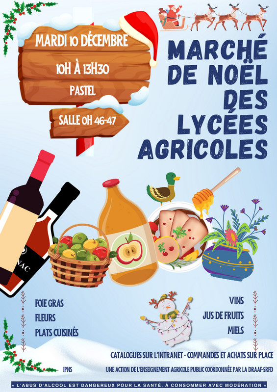 Image 2 : Affiche marche de noël draaf Limoges