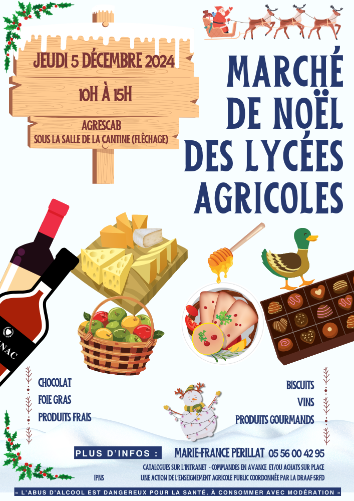 Image 1 : Affiche marche de noël draaf Bordeaux