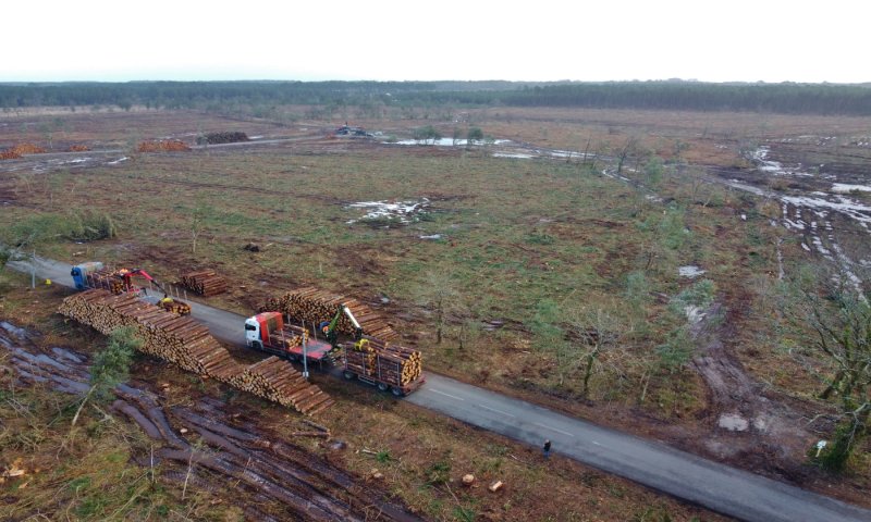 Image 9 : dji 0381 grand 