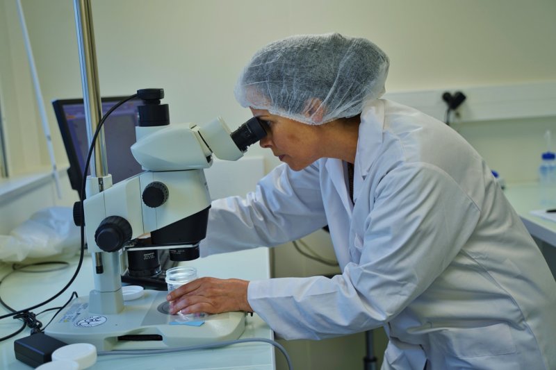 Image 1 : dsc0441 grand 