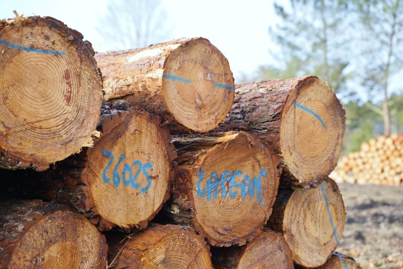 Image 5 : dsc0528 grand 