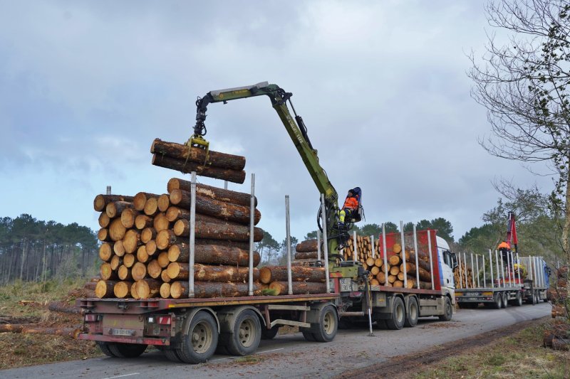 Image 6 : dsc0542 grand 