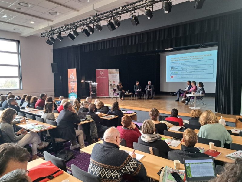 Image 3 : 20251203 104507